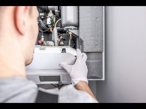 Zobacz filmy, Mikogaz Mikołaj Krzyżaniak, Rokietnica