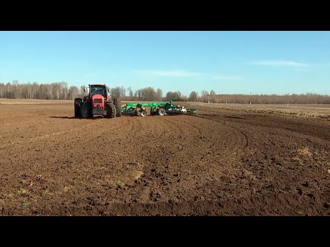 12 районов Гомельской области начали сев ранних яровых зерновых культур видео