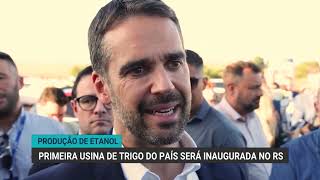 Produção de etanol | Primeira usina de trigo do país será inaugurada no RS