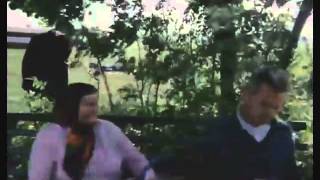 Белая береза (песня из к/ф "Афоня")