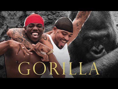 Video thumbnail for Gorilla