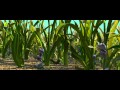 A Bug S Life Eng Dub Scene 3
