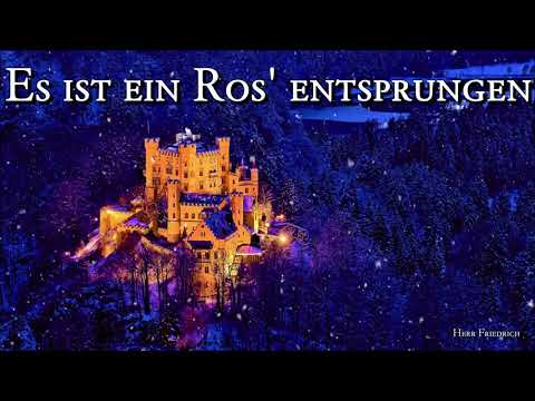 Es ist ein Ros' entsprungen [German Christmas Song][+Lyrics]