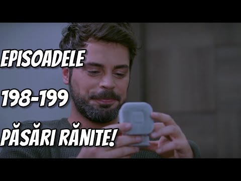 Levent o CERE ÎN CĂSĂTORIE PE MERYEM! Melis le pregătește o CAPCANĂ TERIBILĂ! Păsări rănite 198-199!