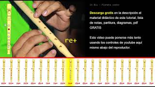 Tutorial Flauta Dulce 14 Bis   Planeta sonho