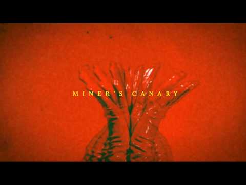 Video thumbnail for Miner’s Canary
