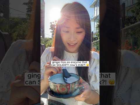 QUICK & EASY DESSERT (ginger milk pudding) 💯😋