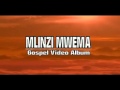 Mlinzi Mwema