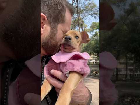 Surprise visit from Rwa Rwauuu 🐶🐾