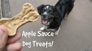 Apple Sauce Dog Treats
