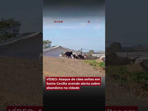 Vídeo mostra pedestre sendo atacado por cães em SC