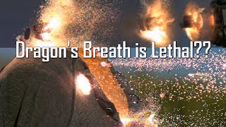 The Surprising POWER of Dragon's Breath! - Ballistic High-Speed