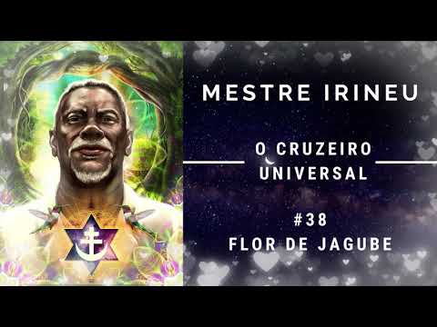 Hino # 38 - Flor de Jagube