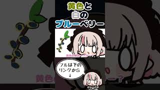 「黄色と白のブルーベリー」【手描き切り抜き/橘ひなの/赤見かるび/魔界ノりりむ/ひなのファミリア】