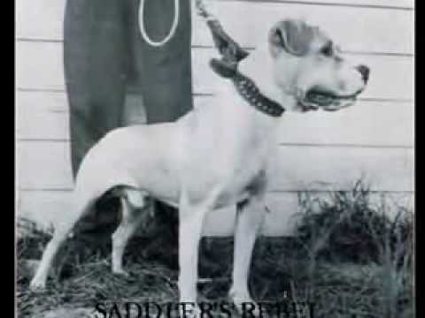 download lagu mp3 mp4 The Yesteryears, download lagu The Yesteryears gratis, unduh video klip The Yesteryears