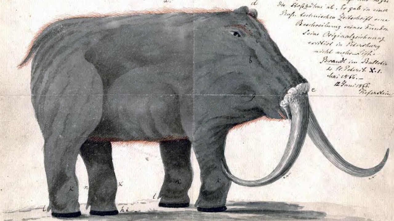 The Most Inaccurate Reconstructions In Paleontology