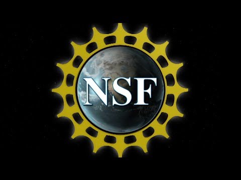 National Science Foundation: Catalyst for Innovation