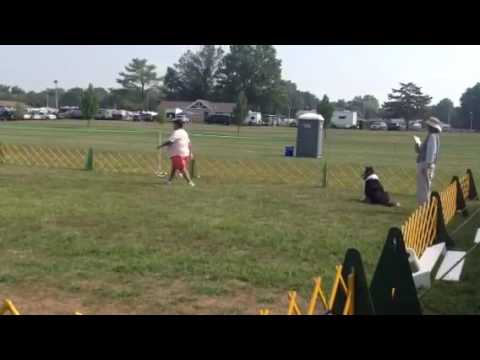 Gypsy 9.10.2016 run 2