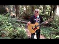 BRAD WILSON 'The Californian" - THE REDWOODS OF CALIFORNIA