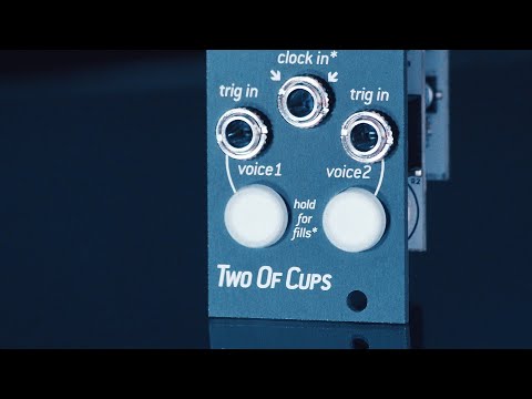 Endorphin.es TWO OF CUPS Eurorack Dual VC Sampler Module image 2