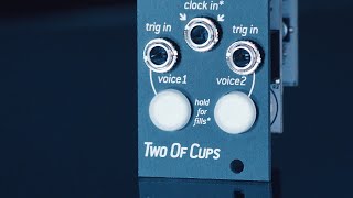 Video thumbnail for Introducing TWO OF CUPS: 2-voice intuitive sample player for eurorack by Endorphin.es