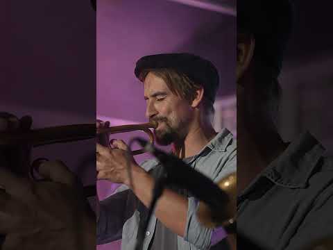 The Strides Live @ New Beginnings Festival Feb 2024