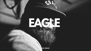Sean Price : Eagle Eye View  | Remix by TEK.LUN
