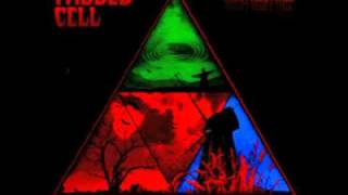 Padded Cell - Savage Skulls