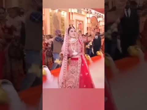 Bride surprises Everyone with dance//Indian wedding at baraat dance#//Random dance#viral#video