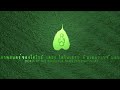 Dorothy The Dinosaur Films International Logo 2002 Present Sahamongkol FIlm International Style