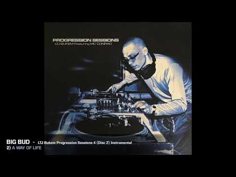LTJ Bukem - Progression Sessions 4 (Full Album Disc 2) Instrumental