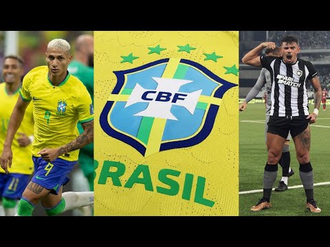 Tiquinho Soares | Botafogo | O Homem-gol do Campeonato Brasileiro