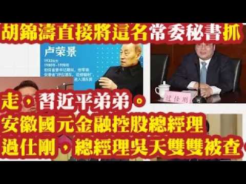 胡锦涛直接将这名常委秘书抓走，习近平弟弟。安徽国元金融控股总经理过仕刚，总经理吴天双双被查。卢荣景秘书和常委秘书。 2026-07-30 00:10
