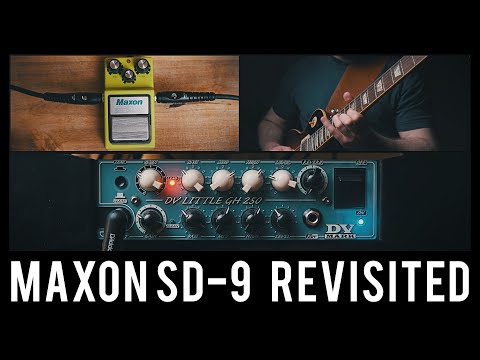 Maxon SD-9 Revisited // Clean and Dirty Amp Comparison