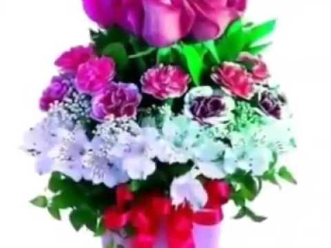 ወፍዬ በራሪ ለቤተሰቦቼ መልክቱን ንገሪኝ