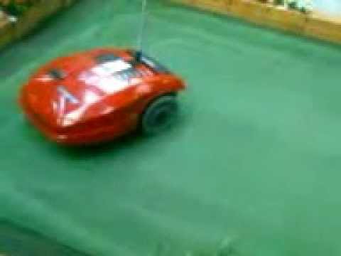 Smooth Fox Terrier Emily vs. Robot Lawn Mower