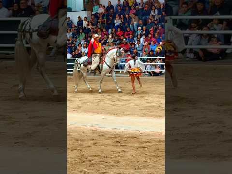 Increíble baile de caballo al ritmo del juyayay