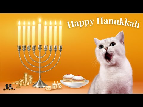Hanukkah Oh Hanukkah Song - Cats version