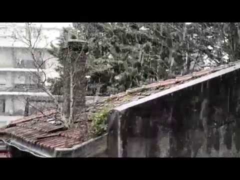 Talking to the Trees - temp trailer