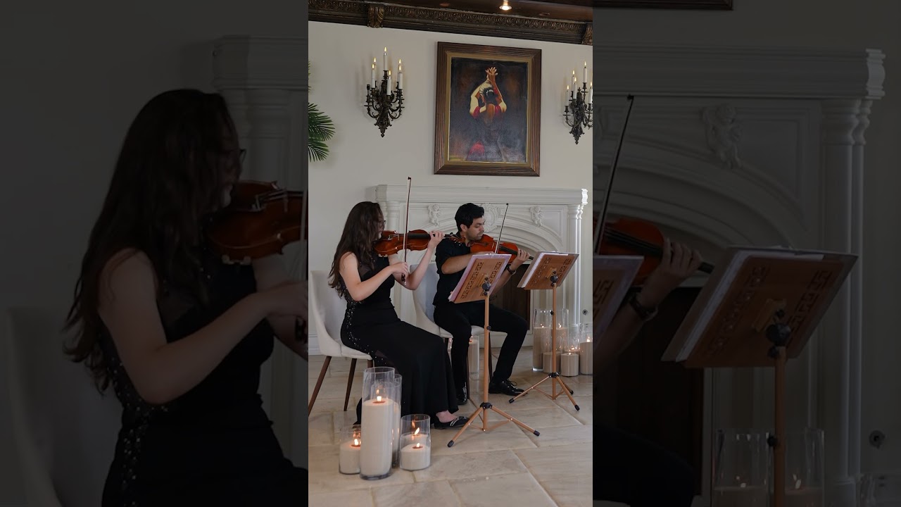 Promotional video thumbnail 3 for Seraphina's Quartet & Ensemble