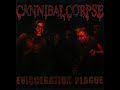 Cannibal Corpse - Scalding Hail