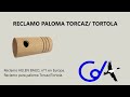 Video: PALOMA TORCAZ/ TORTOLA