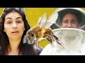 People Who Are Afraid Of Bees Meet Bees