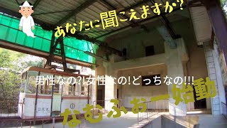 初の試みあなたに聞こえる？見える？（奥多摩ロープウェイ）