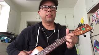 No More Words (Berlin 80s Ukulele Cover)