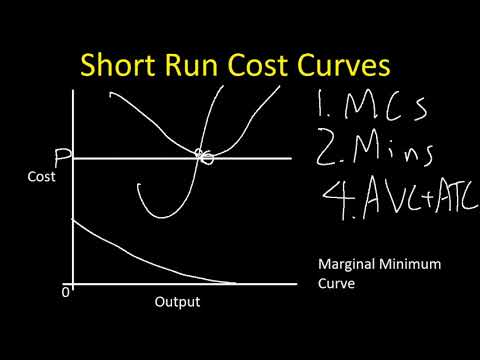 Short Run Cost Curves Overview