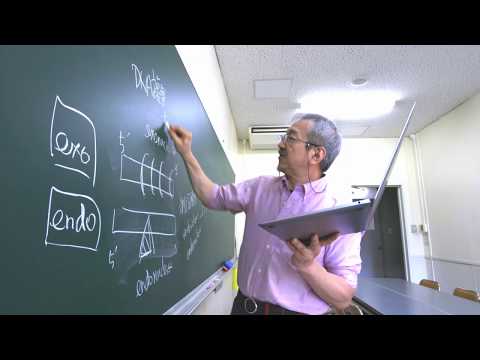 ICU 2020年春学期「生物学特別演習I」布柴達男教授