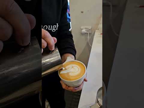 Spazii showcasing Pure Brew Cafe, Gordon