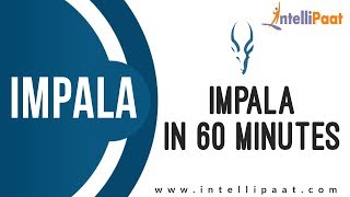 Introduction to Impala | Impala Hadoop Tutorial | Cloudera Impala | Hive vs Impala | Intellipaat