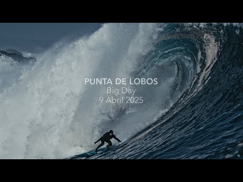 PUNTA DE LOBOS BIG DAY 9 ABRIL 2025 | CHILE